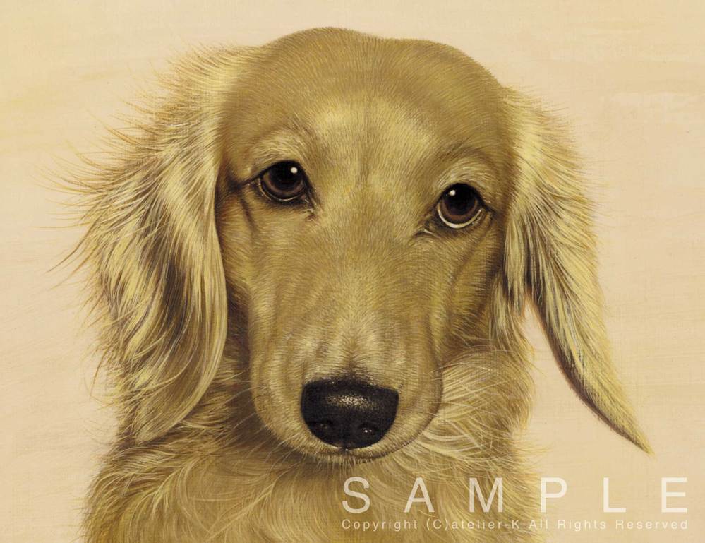 犬の絵 犬の肖像画の注文制作工房 アトリエchico